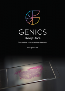 Screen Shot 2020-08-13 at 4.15.58 pm